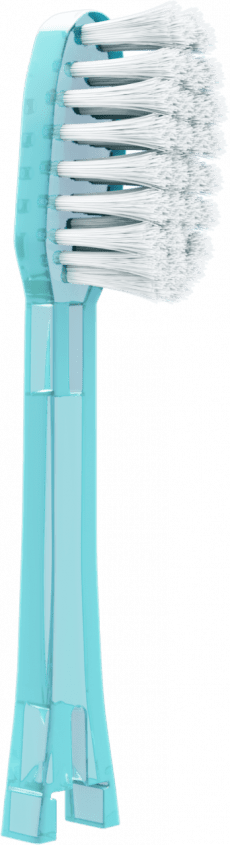 TH31