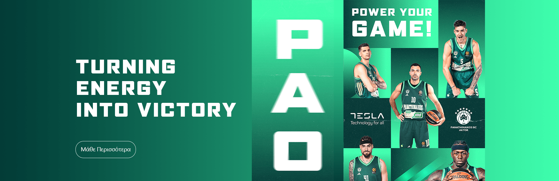 Tesla banner desktop