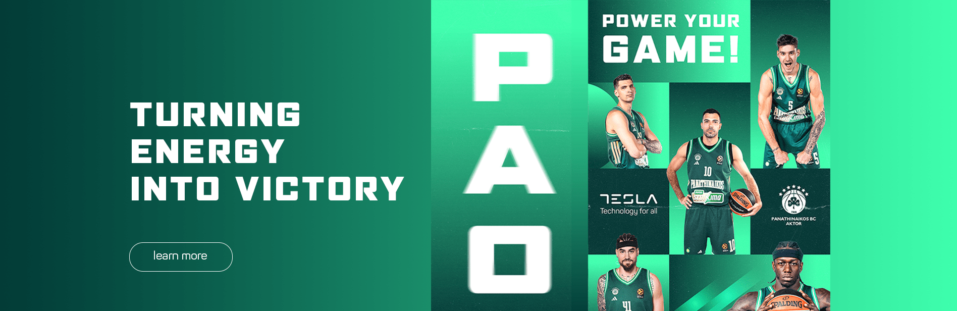 Tesla banner desktop